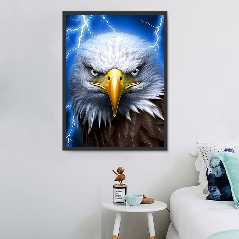 discount-aigle-5d-diy-kits-broderie-diamant-diamond-painting-mj2279-online-now_1.jpg