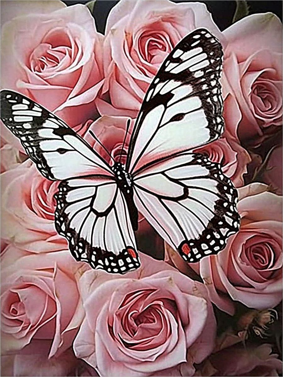 order-your-favorite-roses-5d-diy-kits-broderie-diamant-diamond-painting-mj2602-online-sale_3.jpg