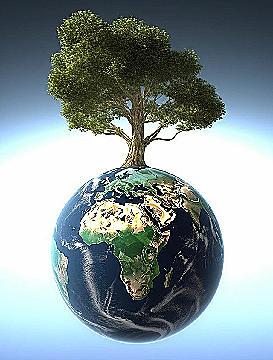 the-official-source-for-arbre-5d-diy-kits-broderie-diamant-diamond-painting-mj8719-online-sale_0.png