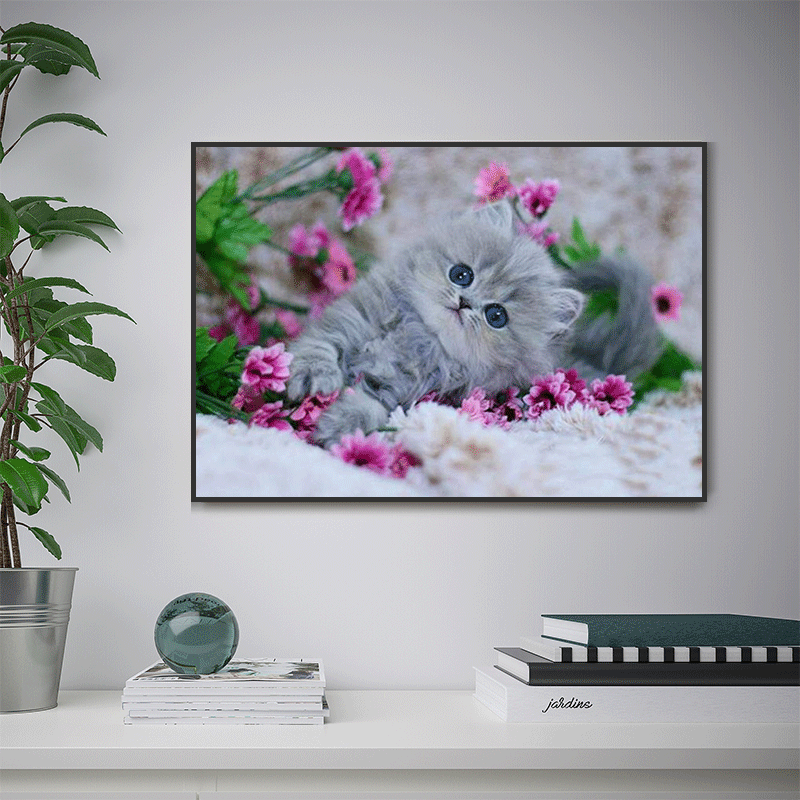 the-one-place-to-find-cheap-chat-5d-diy-kit-broderie-diamant-diamond-painting-vm0037-online-now_2.gif