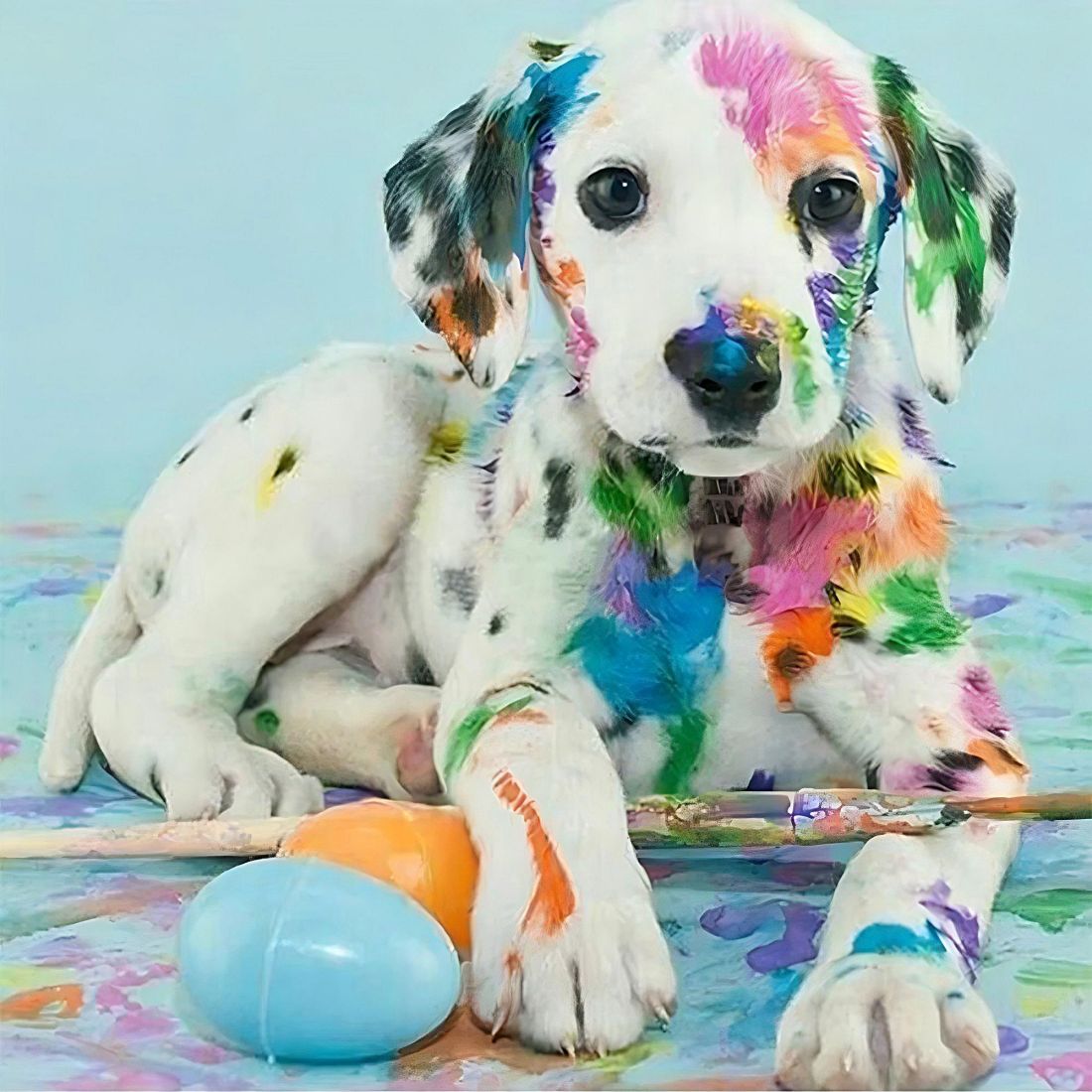 a-favorite-way-to-buy-chien-5d-kit-broderie-diamant-diamond-painting-vm7870-supply_3.jpg