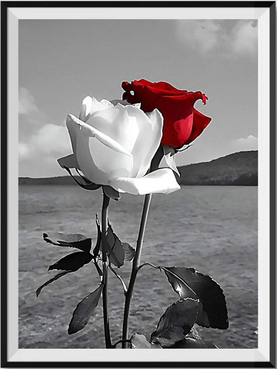 get-the-latest-roses-5d-diy-kit-broderie-diamant-diamond-painting-vm8911-online-sale_0.jpg