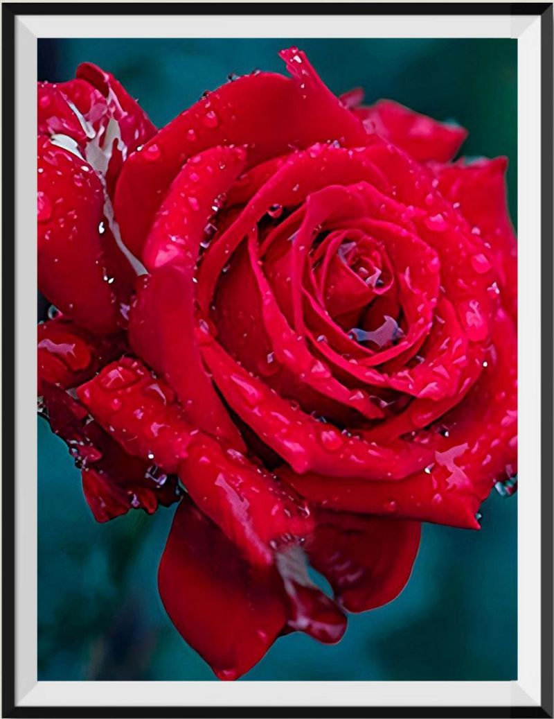 the-worlds-best-authentic-roses-5d-diy-kit-broderie-diamant-diamond-painting-vm4018-on-sale_0.jpg