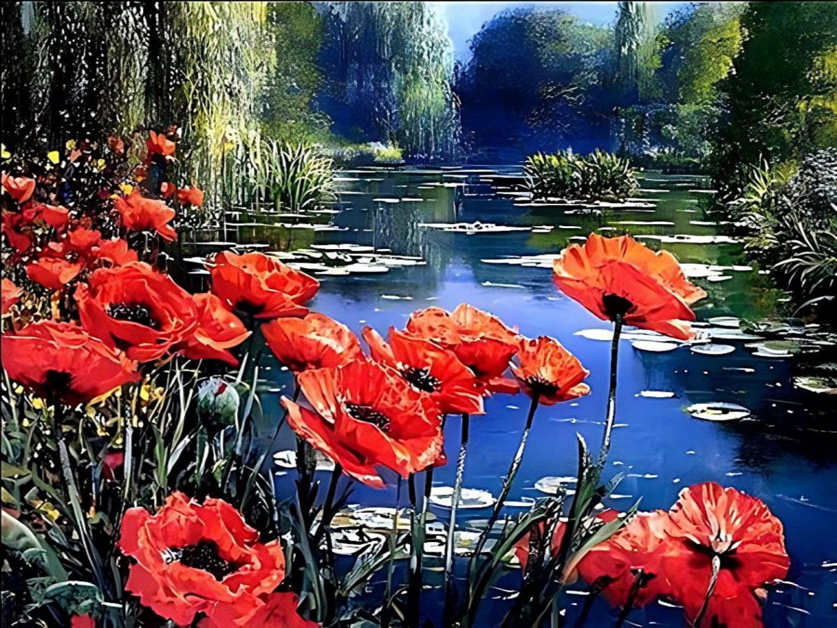 youve-never-seen-nature-5d-kit-broderie-diamants-diamond-painting-vm3539-discount_3.jpg