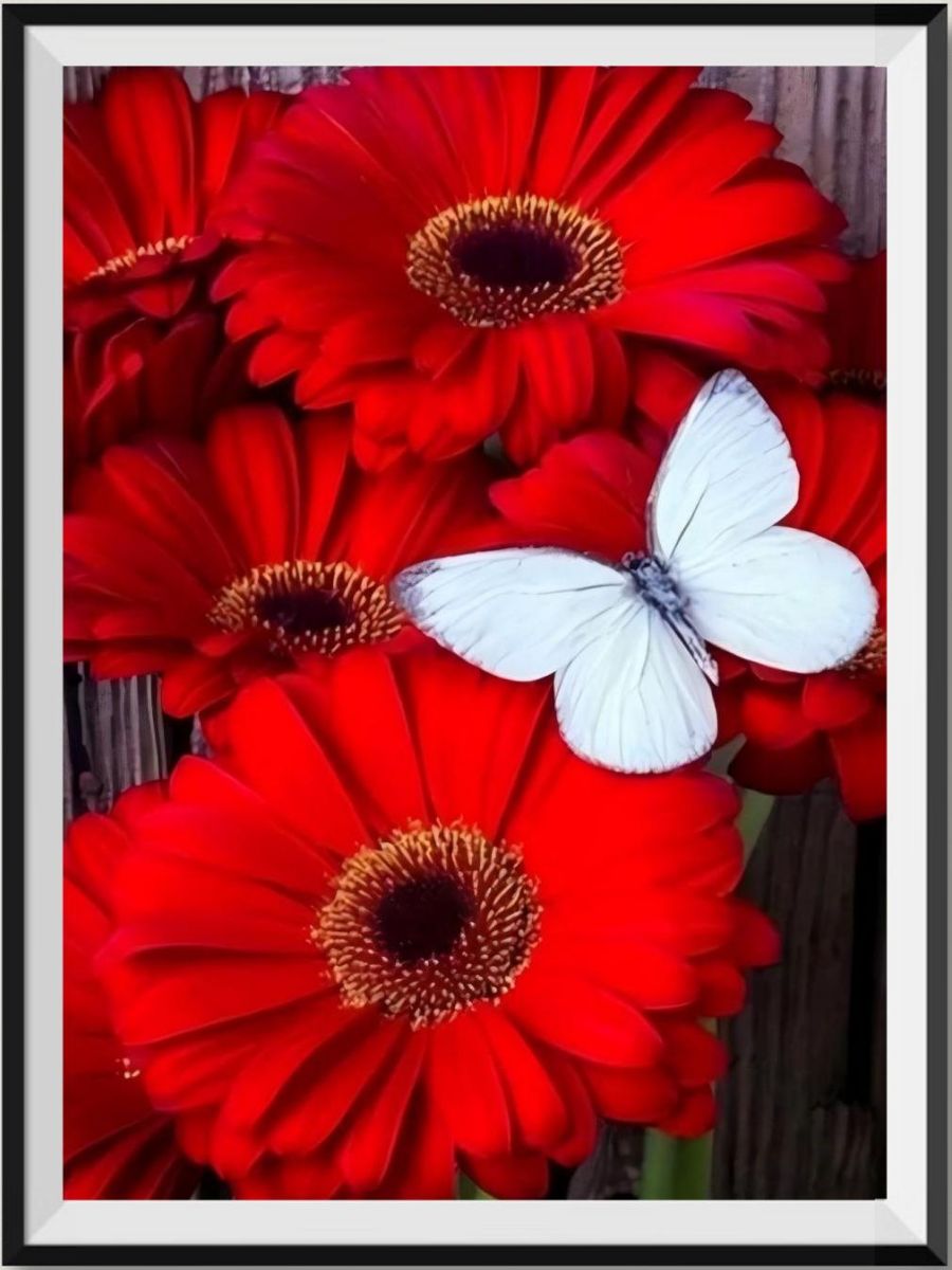 shop-fleur-5d-kit-broderie-diamant-diamond-painting-vm9029-online_0.jpg