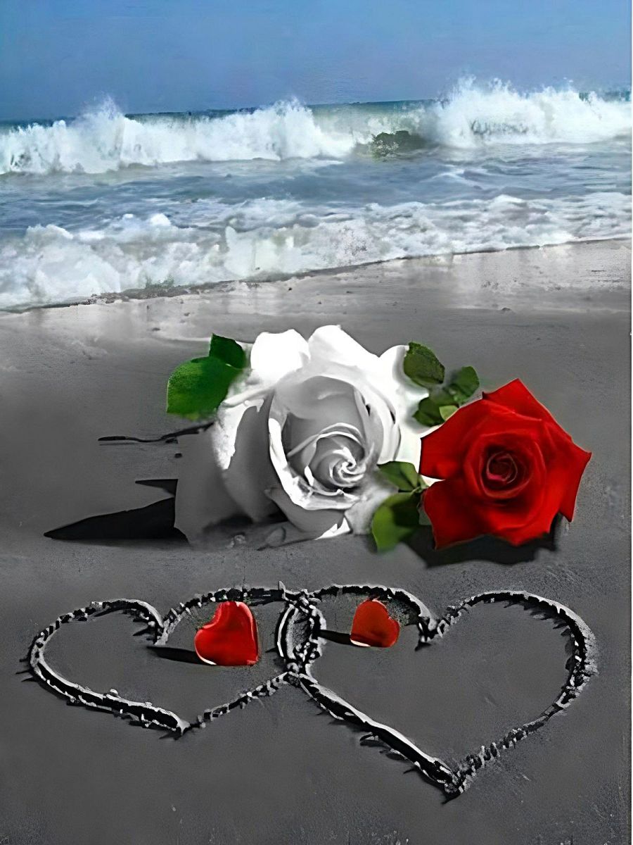 buy-cheap-roses-mer-5d-diy-kit-broderie-diamant-diamond-painting-na0787-fashion_2.jpg