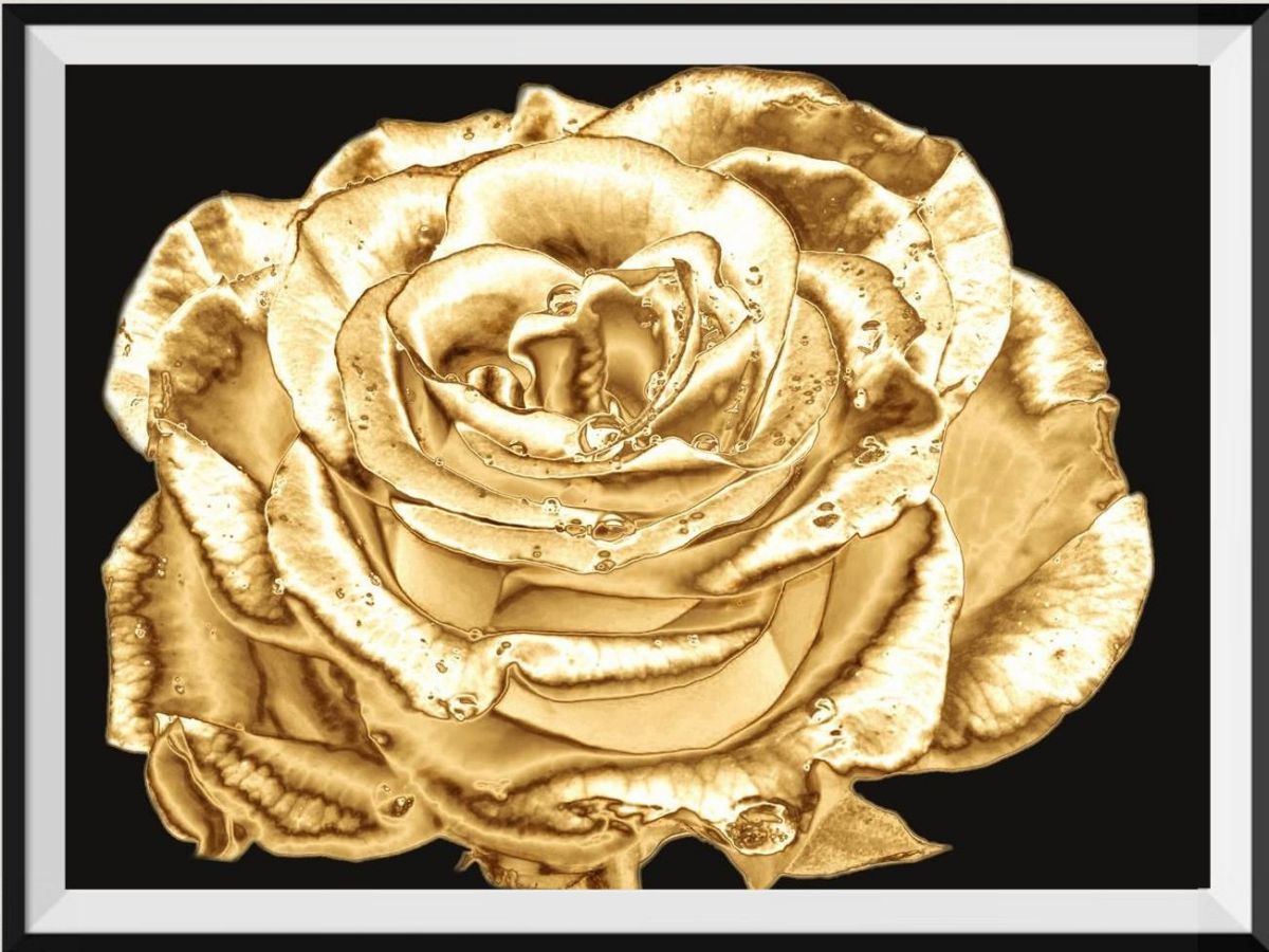 cheap-roses-5d-diy-kits-broderie-diamant-diamond-painting-ds174330034-on-sale_0.jpg
