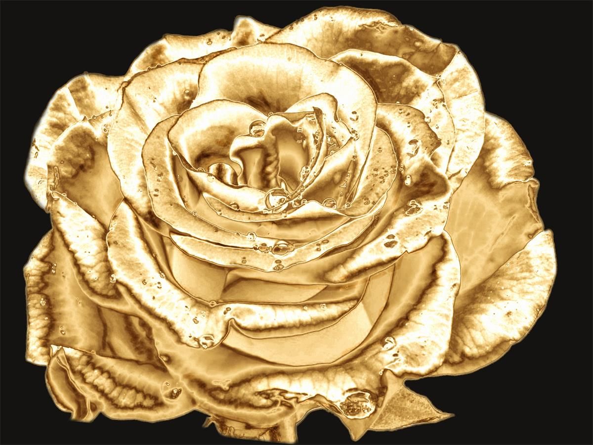 cheap-roses-5d-diy-kits-broderie-diamant-diamond-painting-ds174330034-on-sale_3.jpg