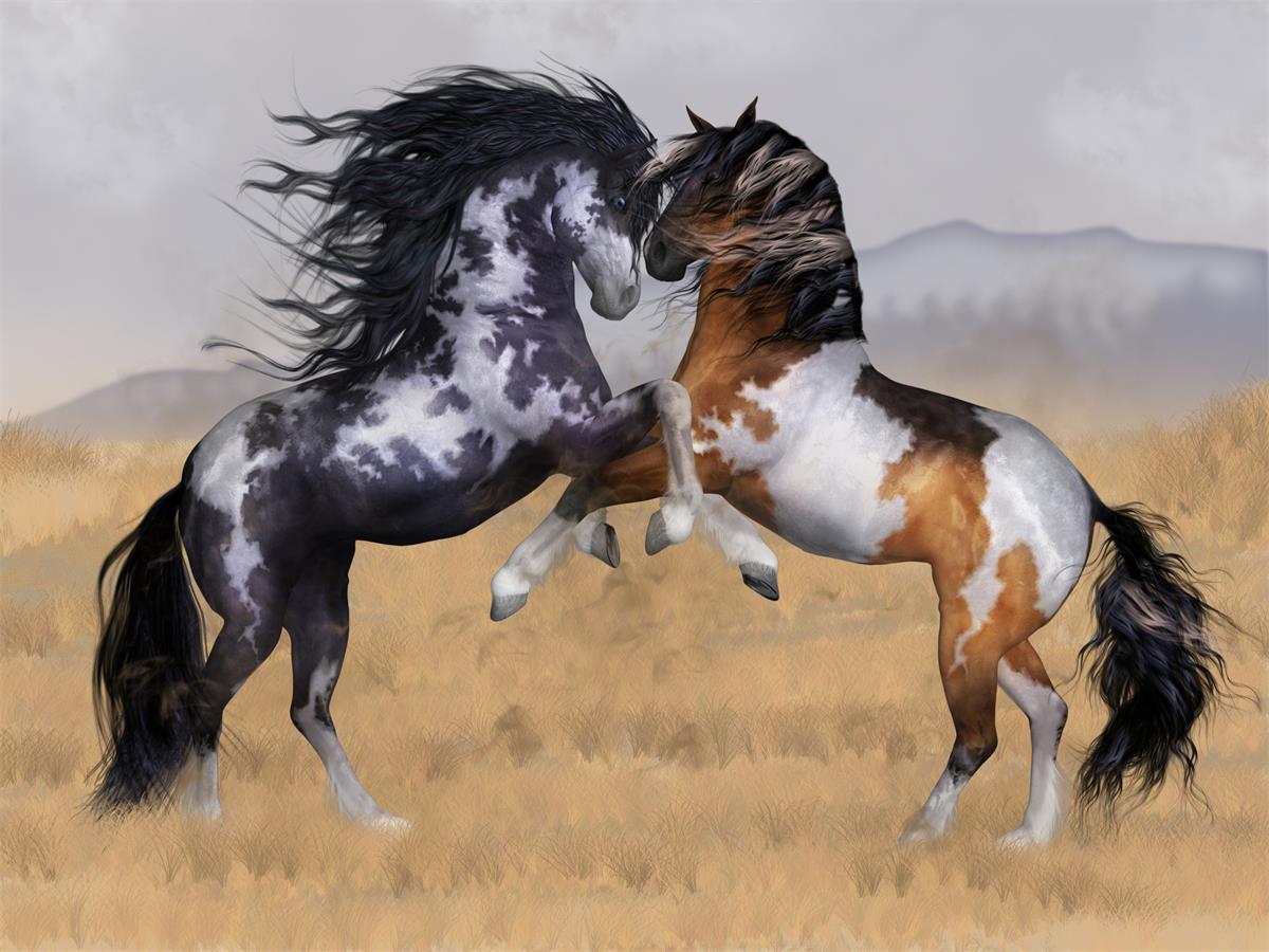 find-your-cheval-5d-diy-kits-broderie-diamant-diamond-painting-ds28916499-supply_0.jpg