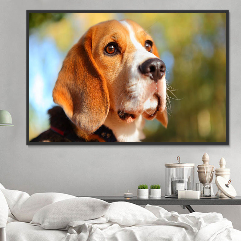find-your-chien-5d-diy-kits-broderie-diamant-diamond-painting-ds35091247-sale_1.jpg