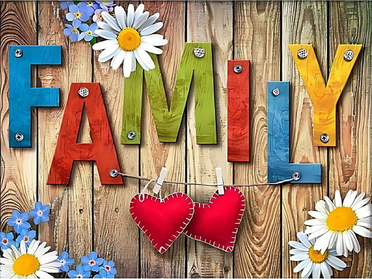 shop-professional-and-licensed-famille-5d-kit-broderie-diamants-diamond-painting-dp2378-on-sale_4.jpg
