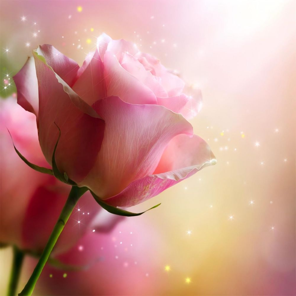 the-original-online-store-of-roses-5d-diy-kits-broderie-diamant-diamond-painting-ds23385734-discount_3.jpg