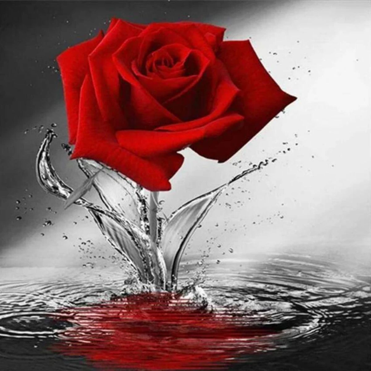 we-offer-cheap-roses-5d-kit-broderie-diamant-diamond-painting-af9312-online-hot-sale_4.jpg