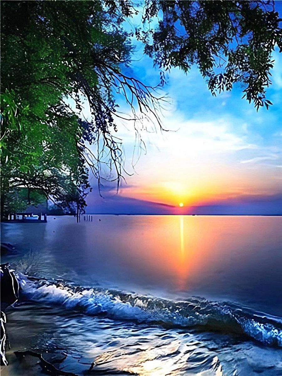 welcome-to-buy-nature-5d-kit-broderie-diamants-diamond-painting-dp4052-online-now_3.jpg