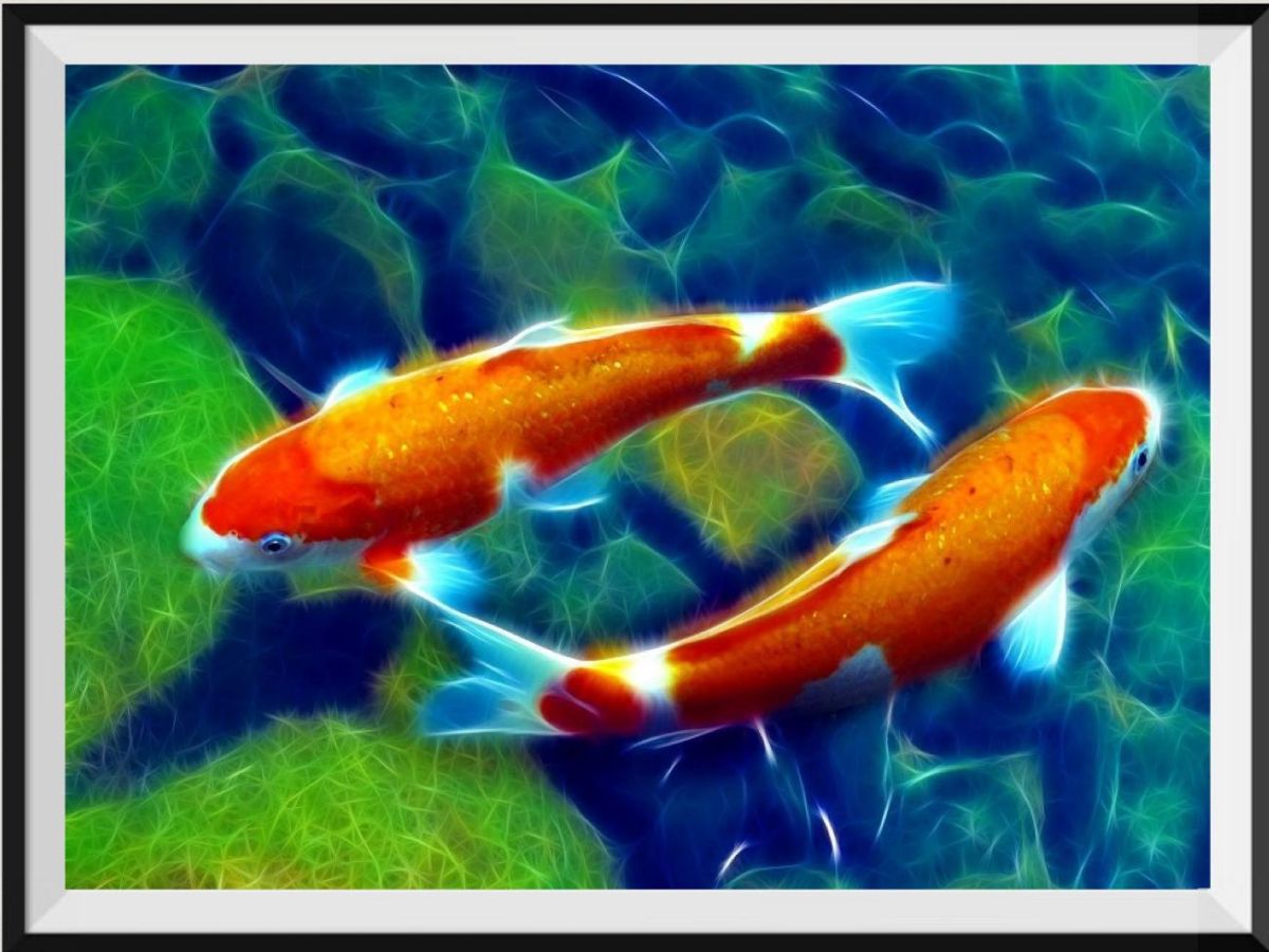 cheap-poisson-5d-diy-kits-broderie-diamant-diamond-painting-ds10700747-discount_0.jpg