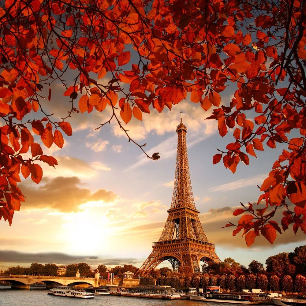 shop-without-worry-for-tour-eiffel-5d-diy-kits-broderie-diamant-diamond-painting-ds80082332-supply_3.jpg