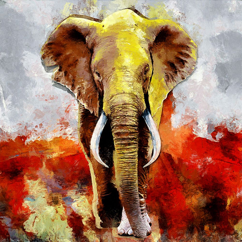 big-savings-on-quality-elephante-5d-diy-kits-broderie-diamant-diamond-painting-ss1295416807-sale_0.jpg