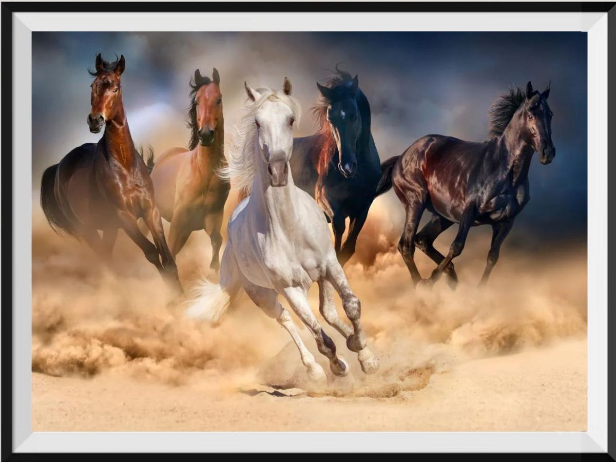 a-favorite-way-to-buy-cheval-5d-diy-kits-broderie-diamant-diamond-painting-ss323504294-online-now_0.jpg
