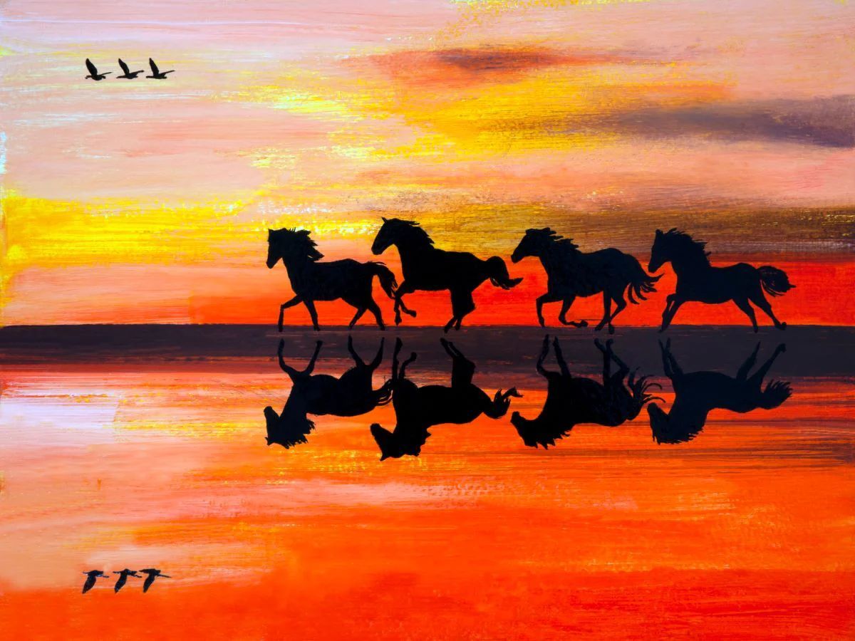 were-the-best-way-to-shop-for-cheval-5d-diy-kits-broderie-diamant-diamond-painting-ss1861024888-discount_3.jpg