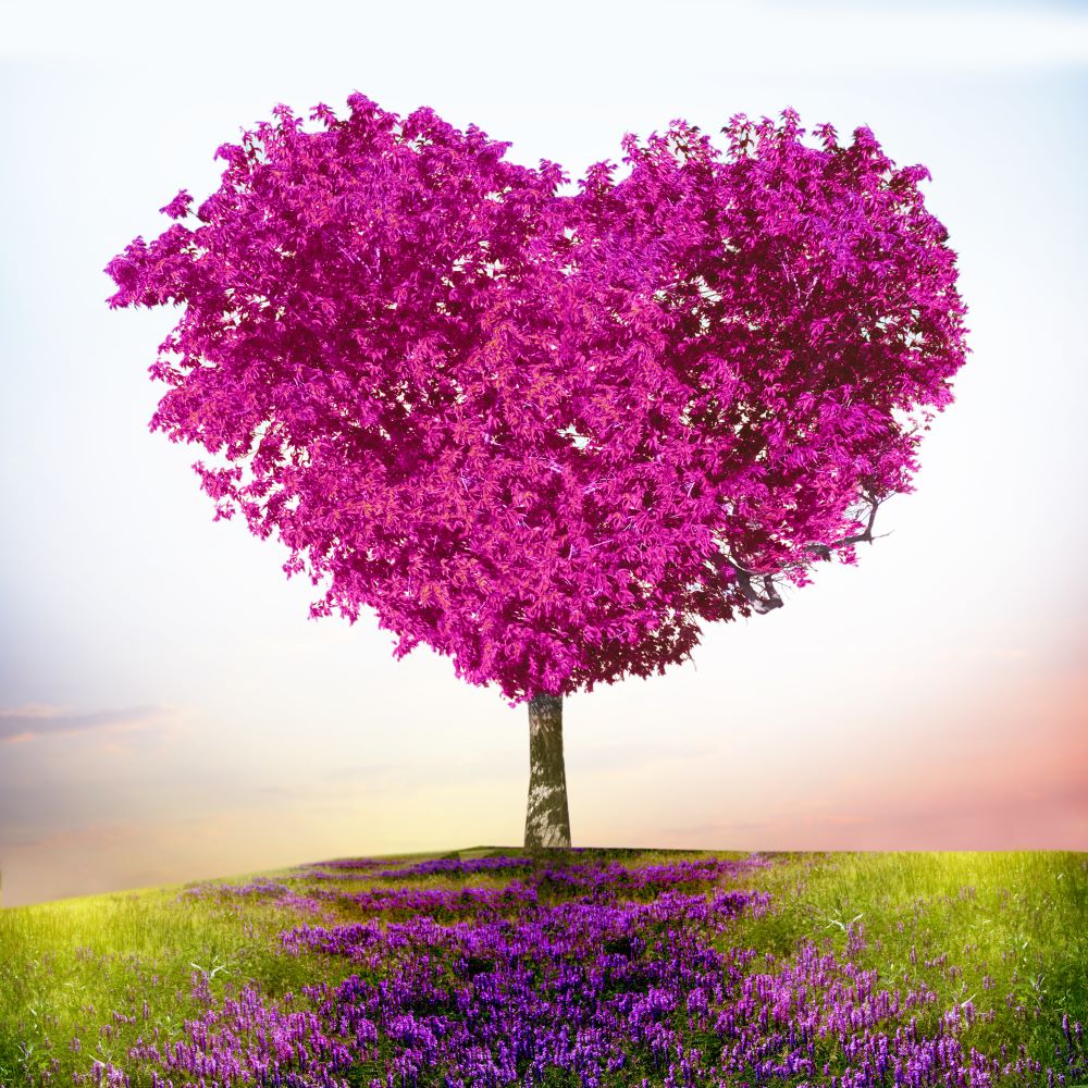 we-make-buying-your-favorite-arbre-5d-diy-kits-broderie-diamant-diamond-painting-ds30504136-online_0.jpg