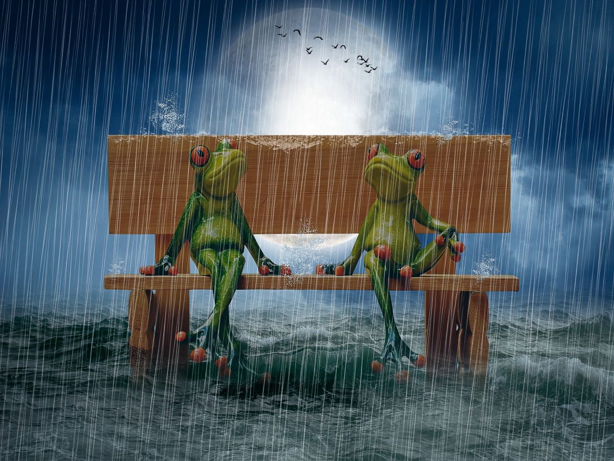 shop-our-official-grenouille-5d-diy-kits-broderie-diamant-diamond-painting-px4302142-sale_0.jpg