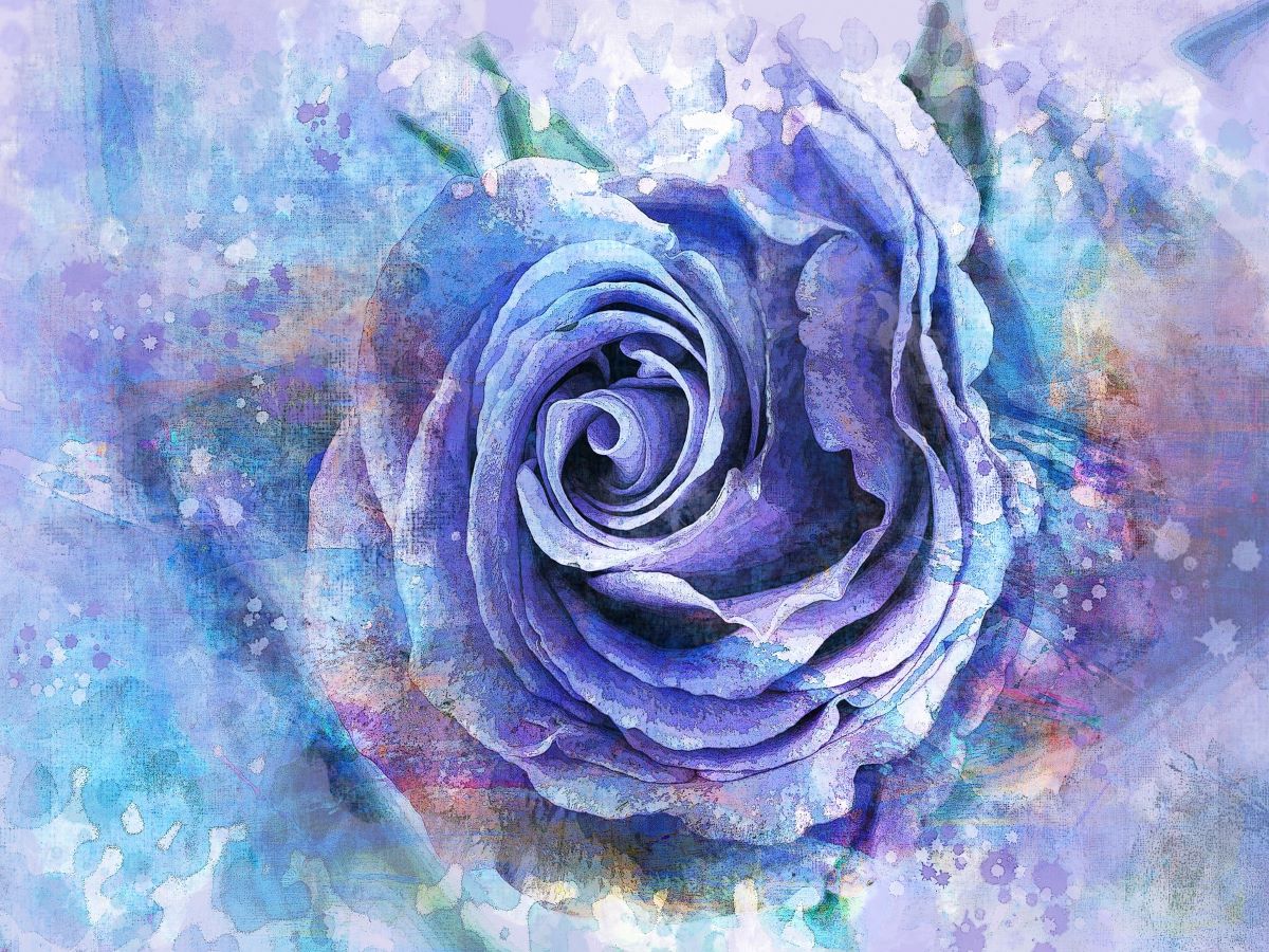 your-one-stop-shop-for-roses-5d-diy-kits-broderie-diamant-diamond-painting-px3370054-fashion_0.jpg