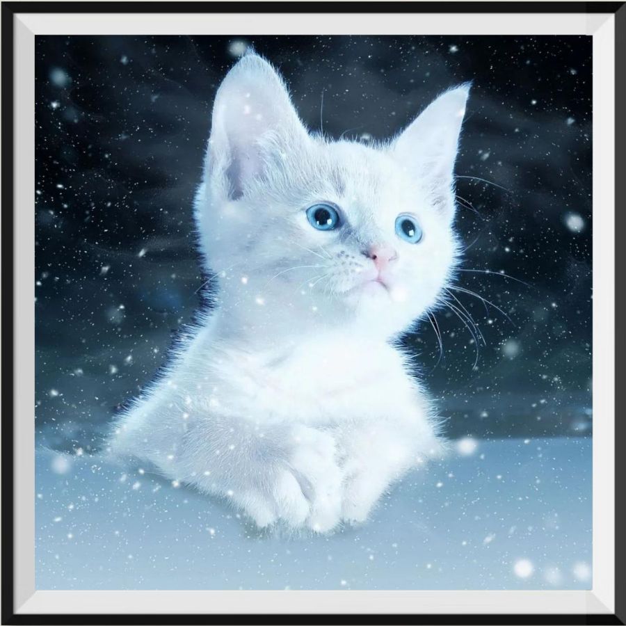 get-the-official-chat-5d-diy-kits-broderie-diamant-diamond-painting-px2178155-online-hot-sale_0.jpg