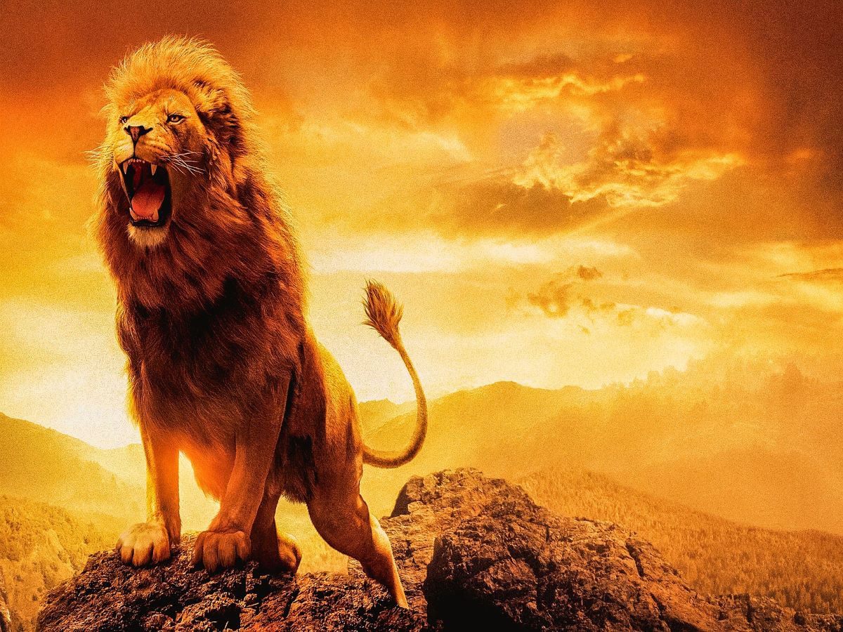 official-lion-5d-diy-kits-broderie-diamant-diamond-painting-px4788378-online-sale_0.jpg