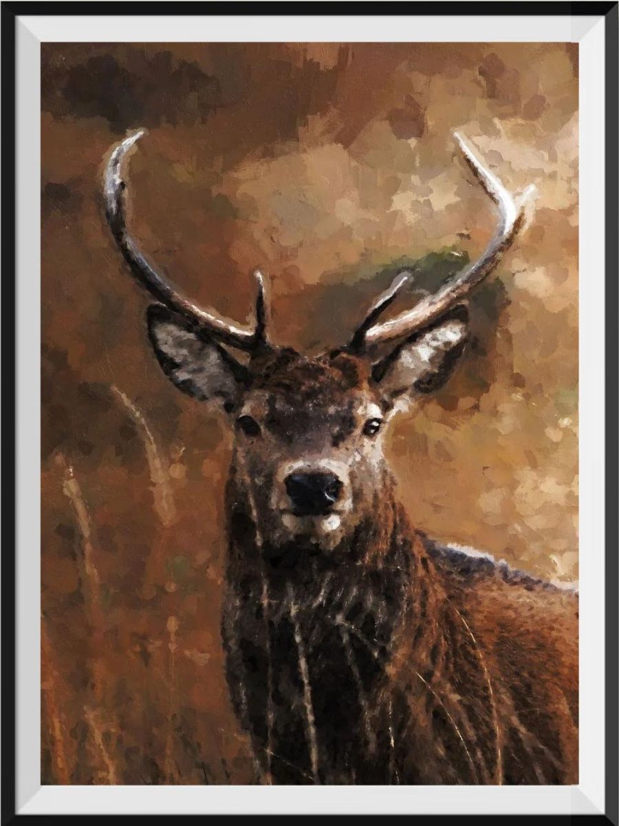 shop-our-huge-selection-of-the-best-cerfs-5d-diy-kits-broderie-diamant-diamond-painting-px5257454-online-now_0.jpg