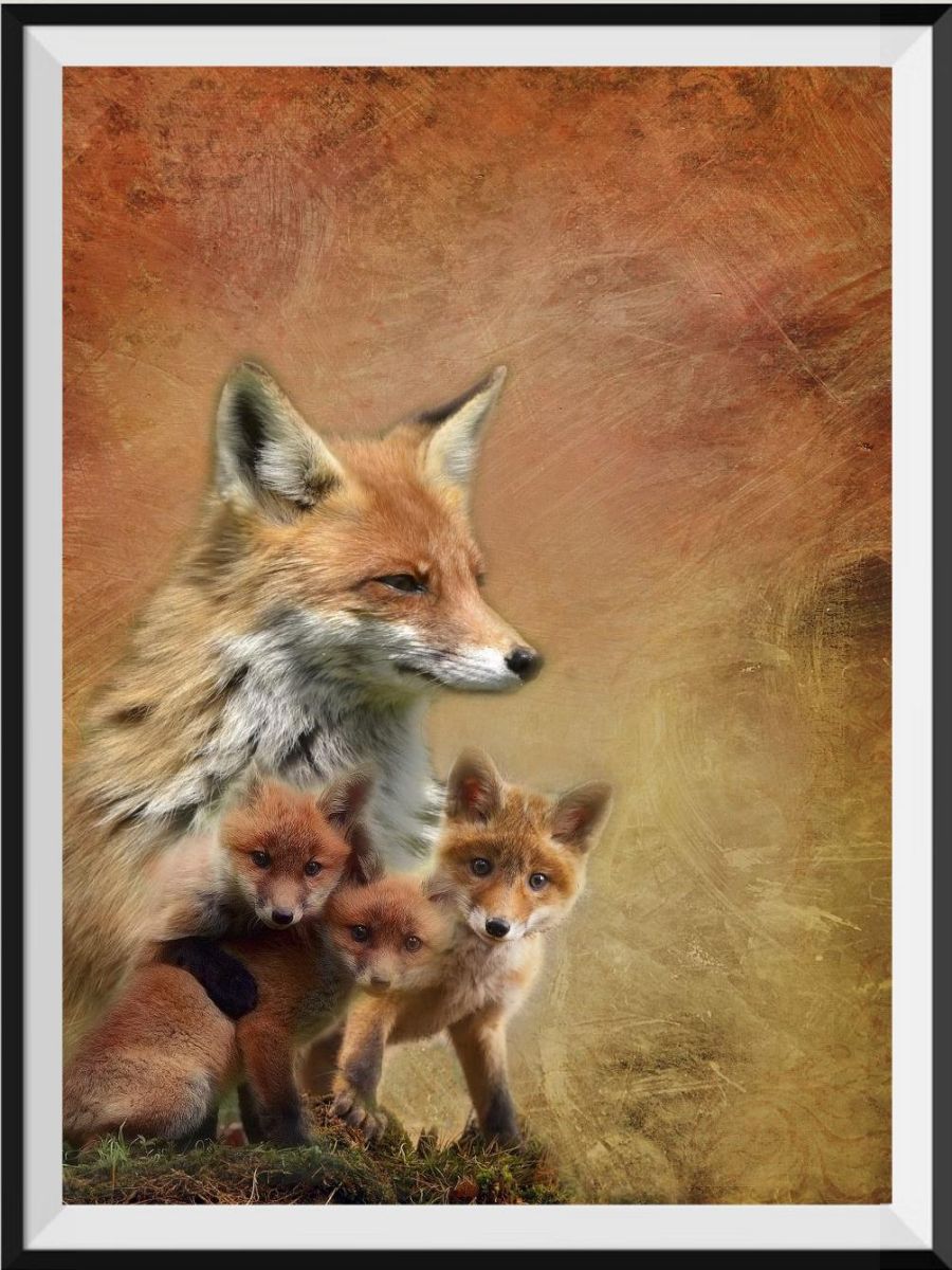 lets-order-renard-5d-diy-kits-broderie-diamant-diamond-painting-px3749782-on-sale_0.jpg