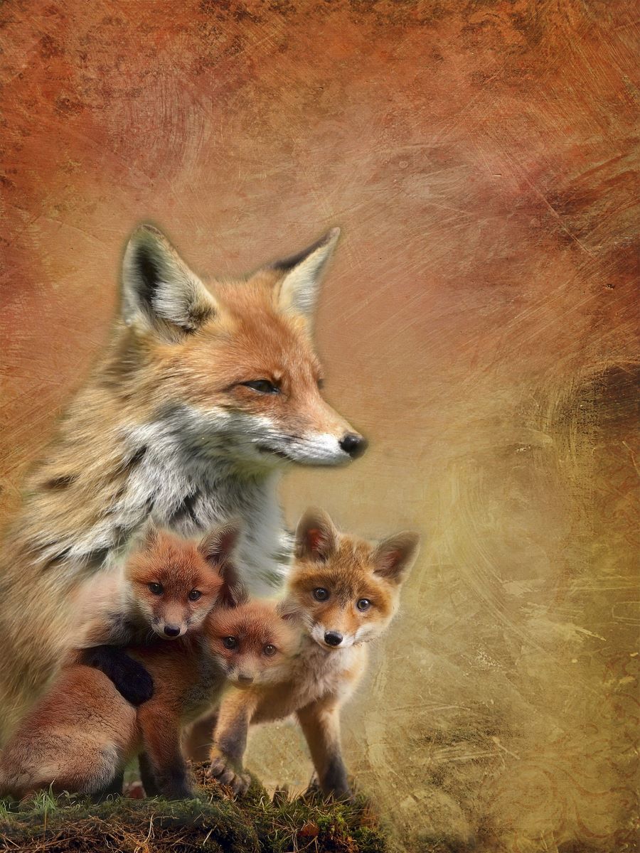 lets-order-renard-5d-diy-kits-broderie-diamant-diamond-painting-px3749782-on-sale_3.jpg