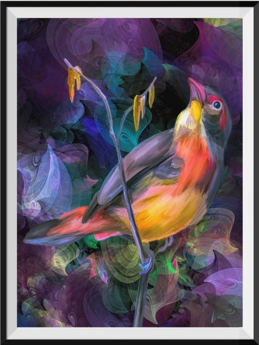 we-are-the-best-place-to-shop-oiseau-5d-diy-kits-broderie-diamant-diamond-painting-px765914-on-sale_0.jpg