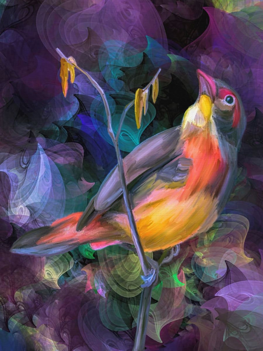 we-are-the-best-place-to-shop-oiseau-5d-diy-kits-broderie-diamant-diamond-painting-px765914-on-sale_3.jpg