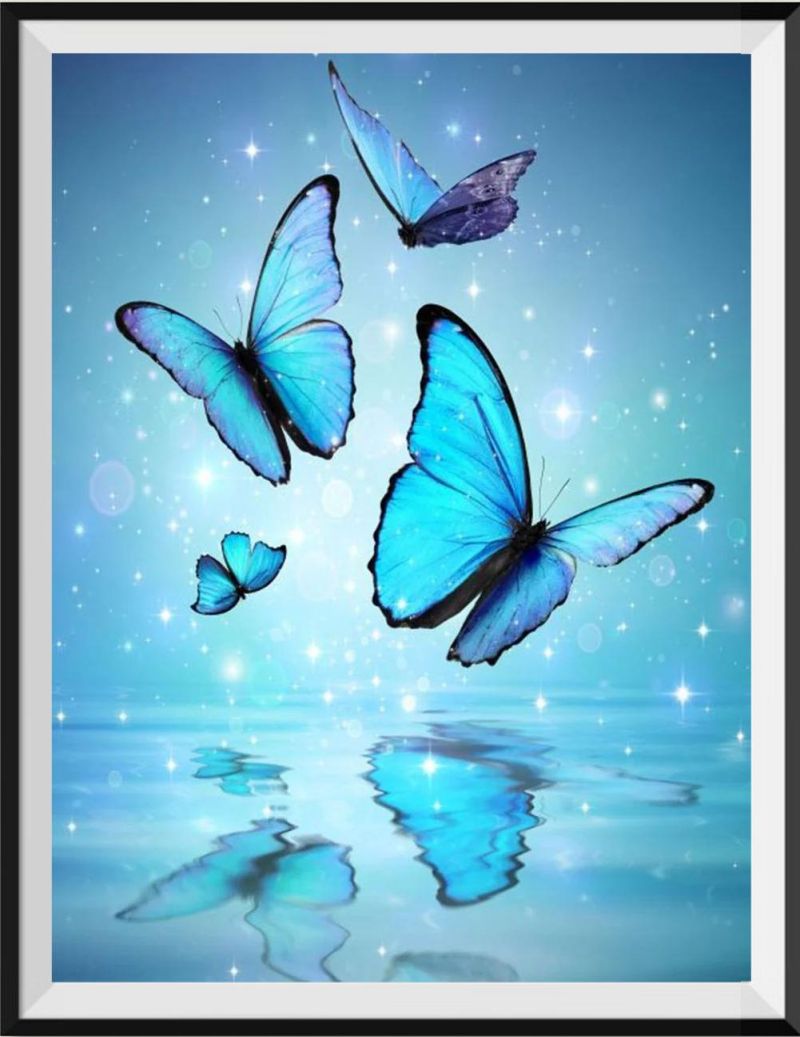a-place-for-all-your-needs-to-shop-papillon-5d-diy-kits-broderie-diamant-diamond-painting-it939332932-online_0.jpg
