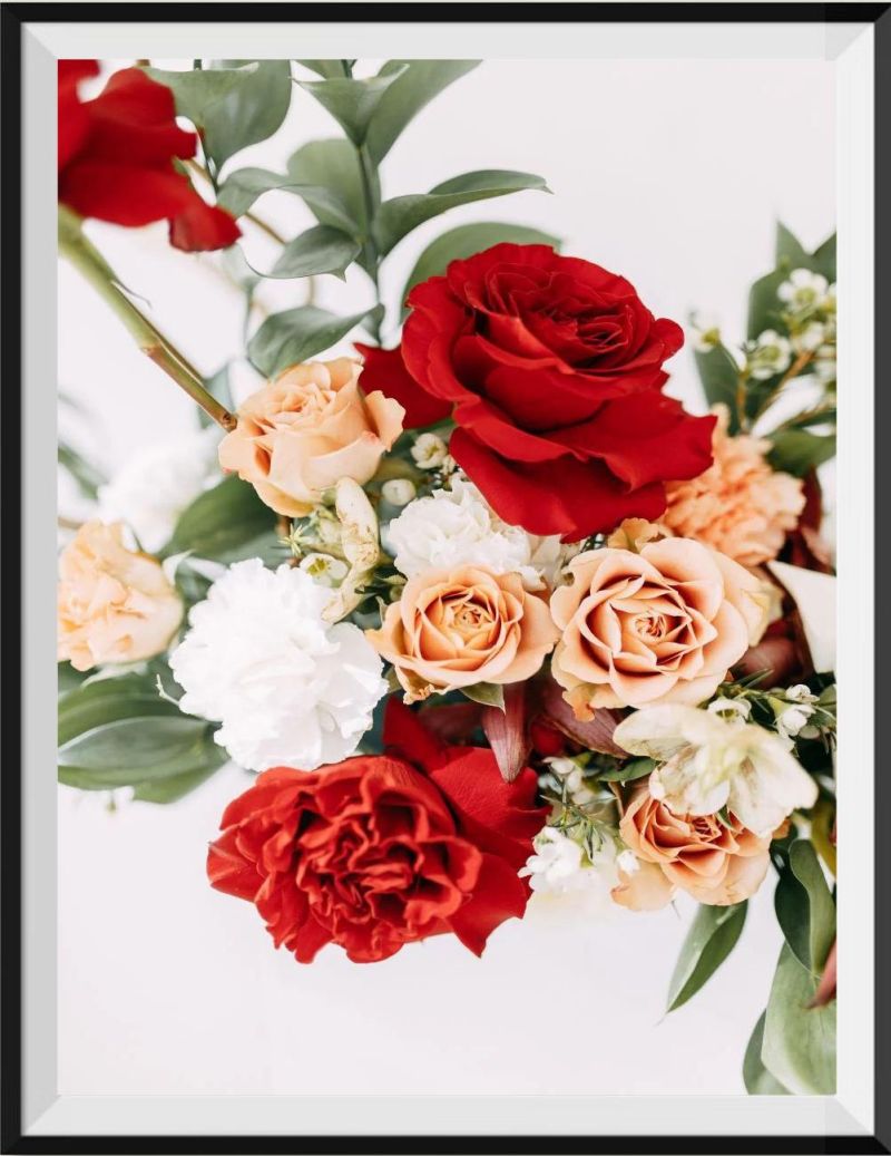 find-your-new-favorite-fleur-5d-diy-kits-broderie-diamant-diamond-painting-it1212121171-supply_0.jpg