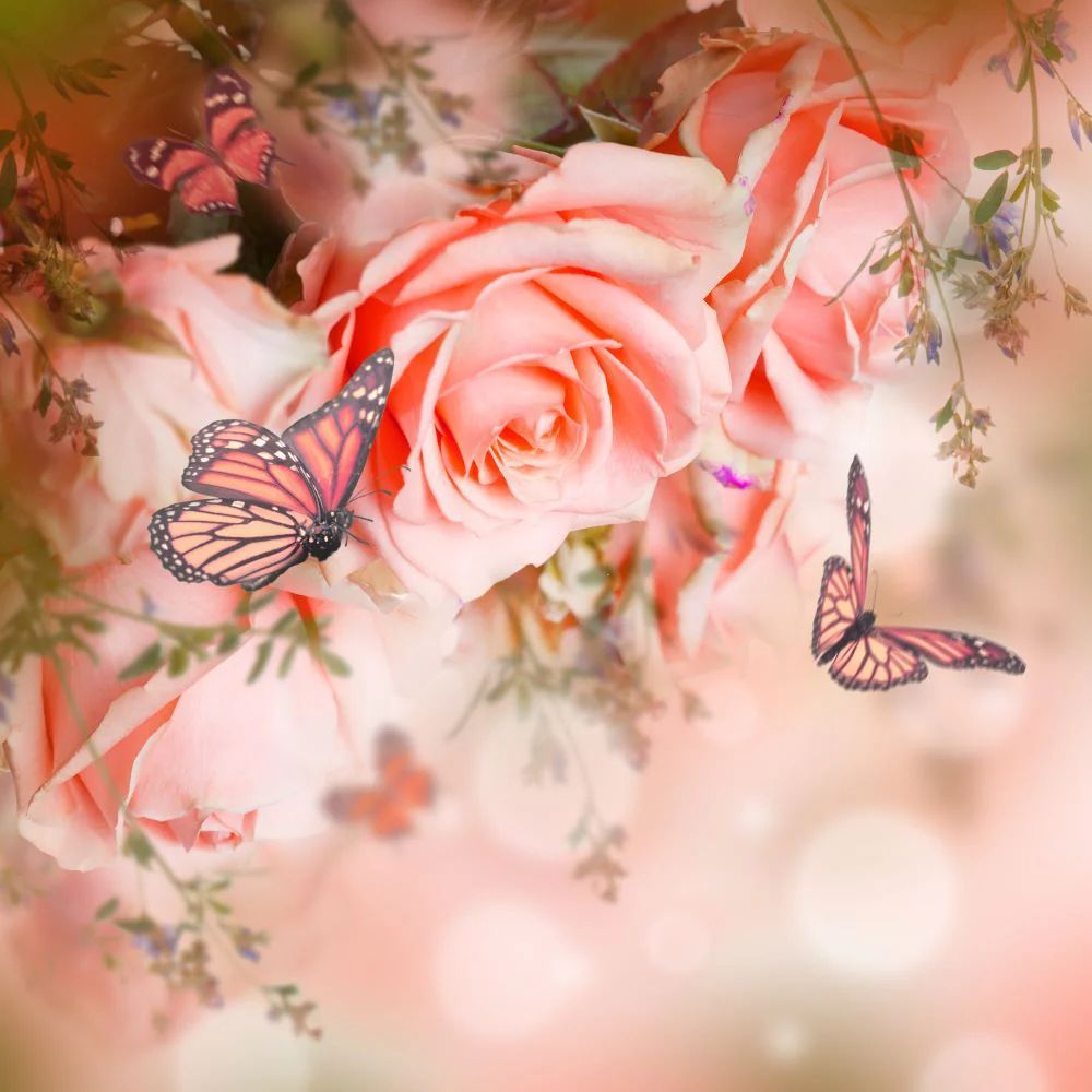 we-offer-papillon-5d-diy-kits-broderie-diamant-diamond-painting-it545642428-online-sale_3.jpg