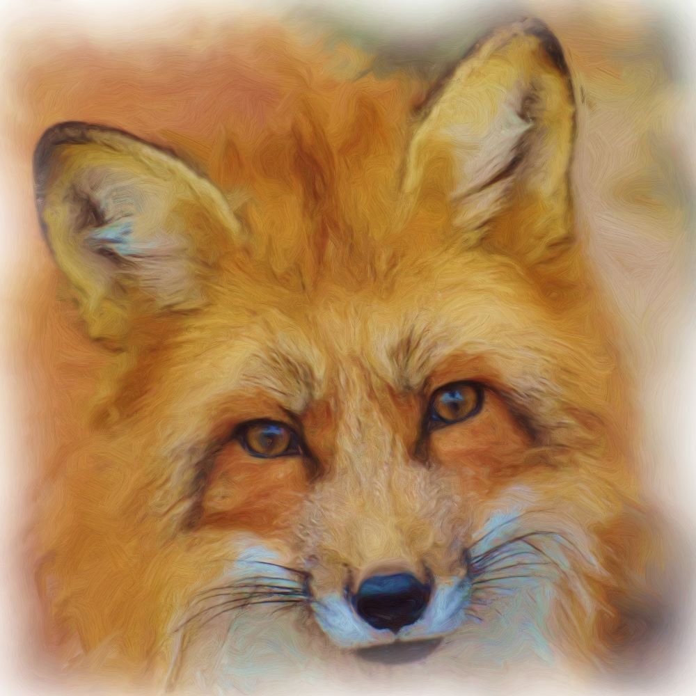 get-your-wholesale-renard-5d-diy-kits-broderie-diamant-diamond-painting-px1789299-sale_0.jpg