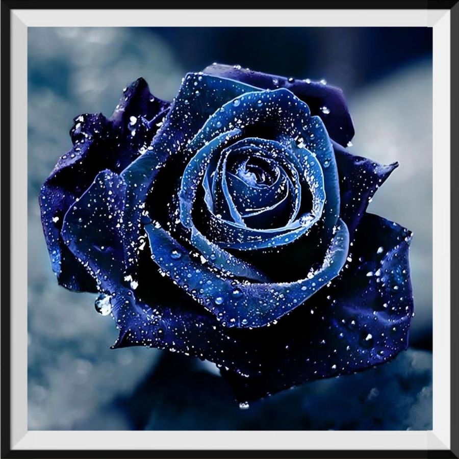 official-roses-5d-diy-kits-broderie-diamant-diamond-painting-vm90327-discount_0.jpg
