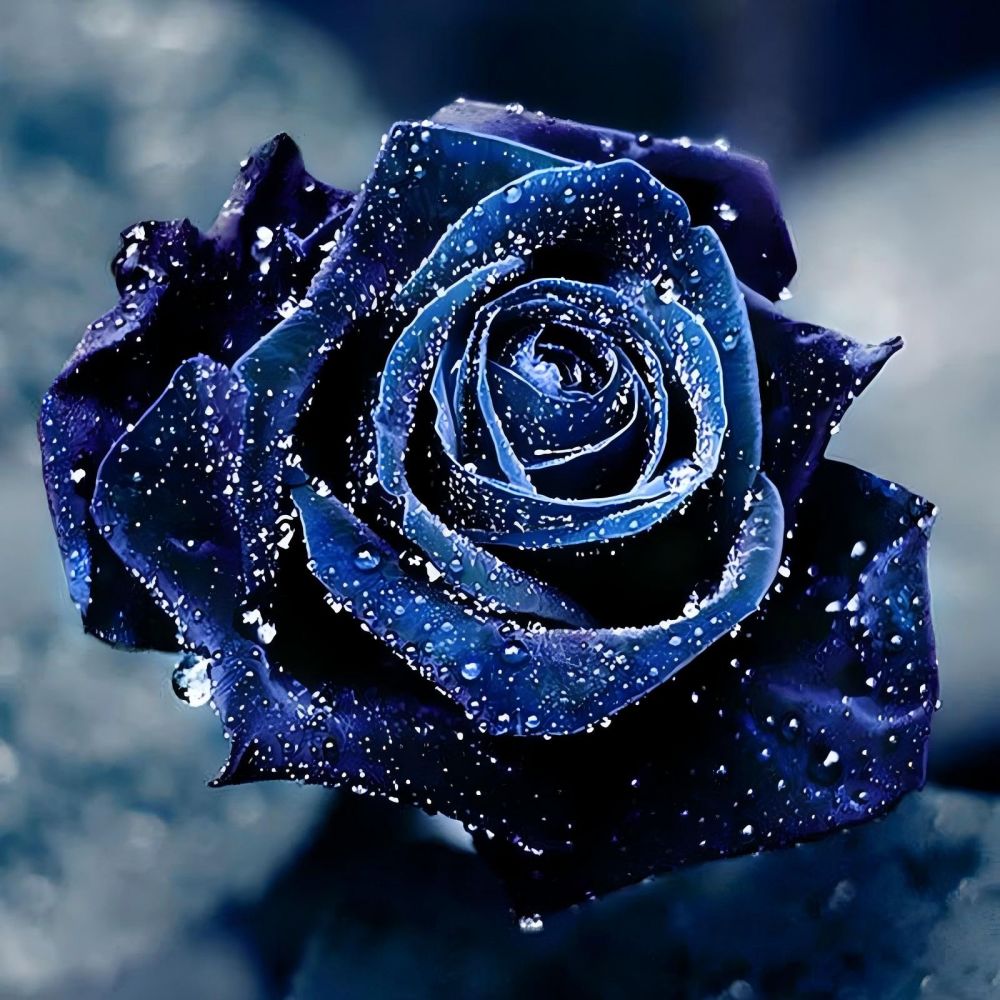 official-roses-5d-diy-kits-broderie-diamant-diamond-painting-vm90327-discount_2.jpg
