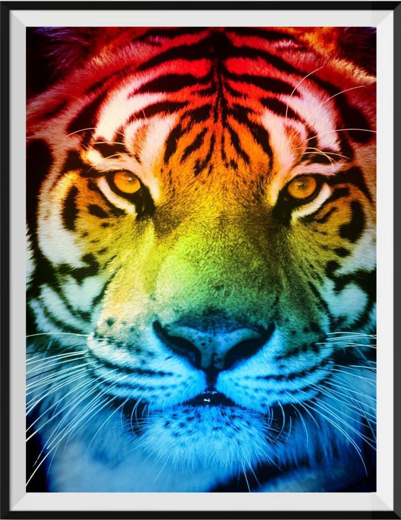 we-offer-the-lowest-prices-on-tigre-5d-diy-kits-broderie-diamant-diamond-painting-ss483602665-online-now_0.jpg