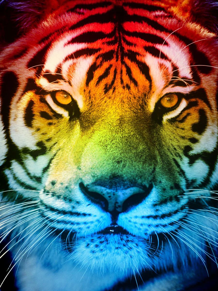 we-offer-the-lowest-prices-on-tigre-5d-diy-kits-broderie-diamant-diamond-painting-ss483602665-online-now_3.jpg