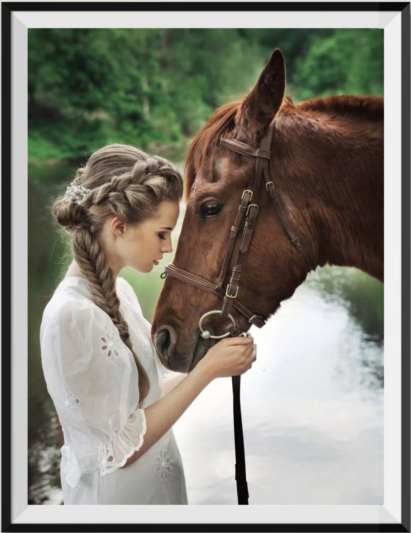 the-official-website-of-animal-et-humain-5d-diy-kits-broderie-diamant-diamond-painting-ss284515475-online_0.jpg