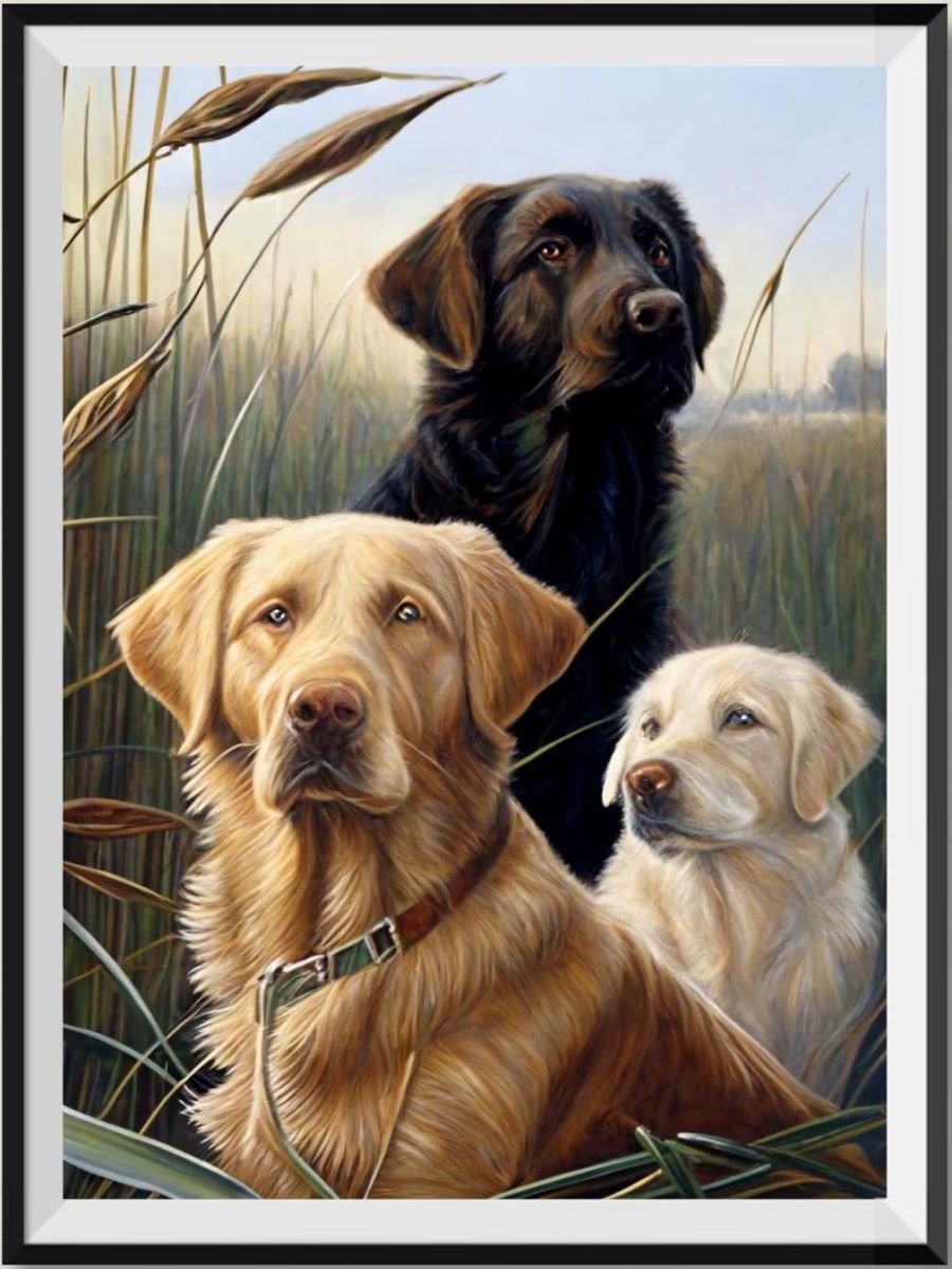 get-your-sporting-goods-of-chien-5d-diy-kits-broderie-diamant-diamond-painting-mj9150-fashion_0.jpg