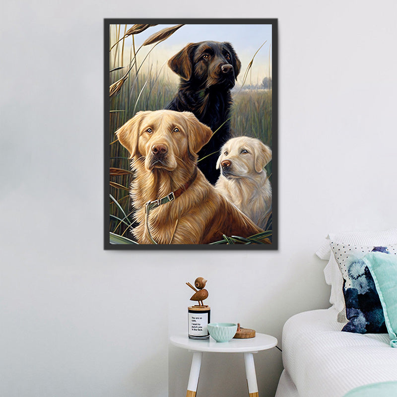 get-your-sporting-goods-of-chien-5d-diy-kits-broderie-diamant-diamond-painting-mj9150-fashion_1.jpg