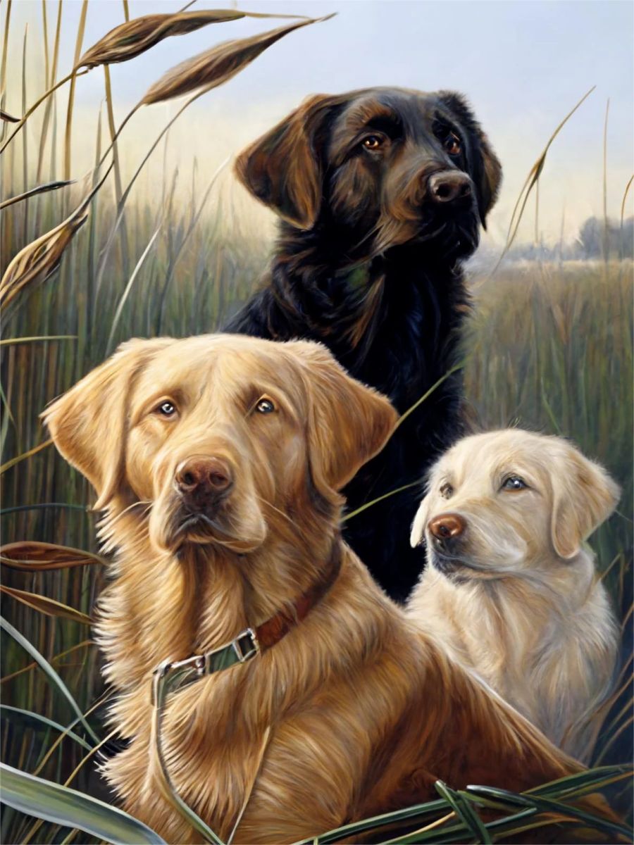 get-your-sporting-goods-of-chien-5d-diy-kits-broderie-diamant-diamond-painting-mj9150-fashion_3.jpg